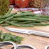 Rada Cutlery Heavy Duty Paring Knife –Stainless Steel Blade With Aluminum Handle, 7-1/8 Inches, Color-Silver...
