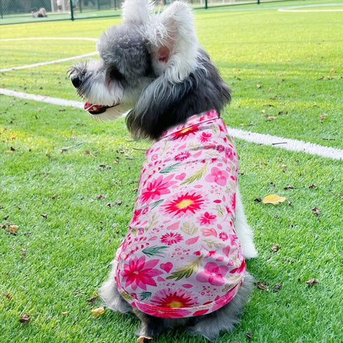 PET SHOW 4 Pack Paw Bone Printed Dog Clothes Shirts Soft Vest Lightweight Sleeveless Cats Doggies T-Shirts Puppies Tank Top Tee for Small Medium D...