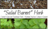 “Salad Burnet” Herb Seeds – Alternative Salad Green and Easy-to-Grow Herb – Harvest in 6 Weeks | Never GMO, Always Heirloom and OP | USA Grown See...