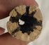Awesome Aquatic Natural Cholla/Choya Wood 3 Pieces 6” for Shrimp Habitat and Food Treat Hermit Crabs Plecos Aquarium Decoration Lowers pH Hideouts...