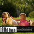 30pcs Dog Shock Collar Rubber Tips, Rubber Tips Dog Shock Collar Replacement Training Collar Replacement Tips for Pet Dog Training Collars...