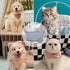 Pet Grooming Tools Pet Trim Playpen tent Fence/Foldable Dog Pool ?depilation Keep The Floor Clean Light Blue Cat Hair/Dog Hair Catcher ?Indoor Out...