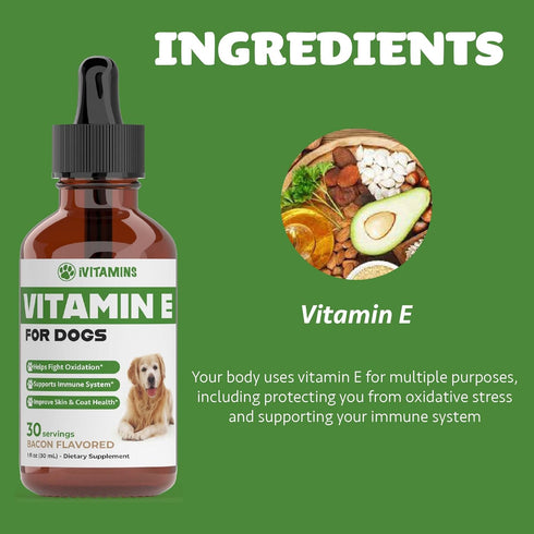Vitamin E for Dogs | Vitamin E Dog | Vitamin E for Dog | Dog Vitamins E | Vitamin E Canine | Vitamin E Supplement for Dogs | Vitamin E Oil Dog | D...