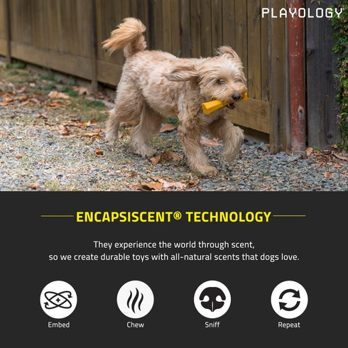 Playology Squeaky Chew Stick Dog Toy for Large Dog Breeds (35lbs and Up) - Engaging All-Natural Cheddar Chesse Scented Dog Chew Toy for Moderate C...
