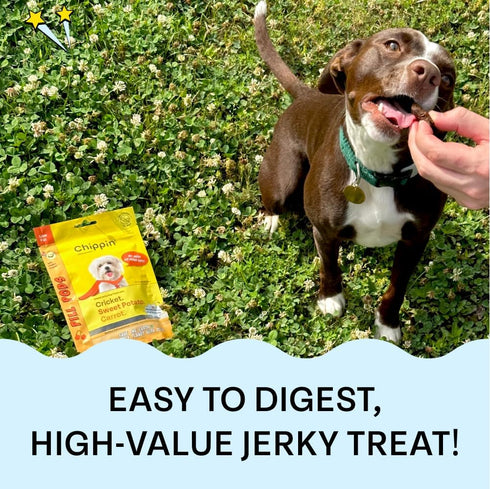 Cricket & Sweet Potato Soft Dog Training Treat (5oz, 1-Pack) | Hypoallergenic, Novel Protein Treat for Dogs with Allergies | Made in USA | Best Pi...