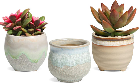 T4U Small Ceramic Succulent Pots with Drainage Set of 3, Mini Pots for Plants, Tiny Porcelain Planter, Air Plant Flower Pots Cactus Faux Plants Co...