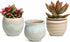 T4U Small Ceramic Succulent Pots with Drainage Set of 3, Mini Pots for Plants, Tiny Porcelain Planter, Air Plant Flower Pots Cactus Faux Plants Co...