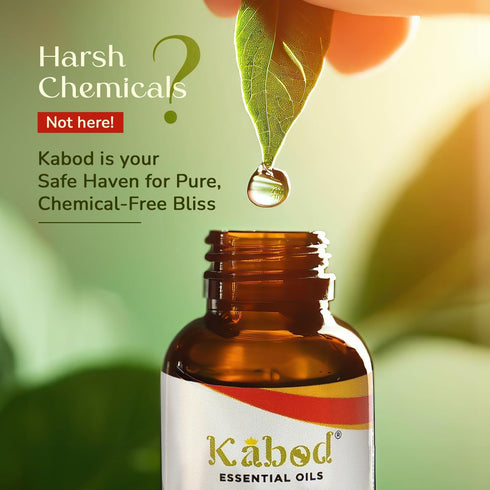 Kabod Eucalyptus Essential Oil - Aromatherapy Blend for Diffusers, Humidifiers, Aroma Stoves, Soap and Candles - Fragrance Oil for Home - 10ML Bot...