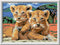 Ravensburger Little Lion Cubs Paint by Numbers Kit for Kids - 23616 - Painting Arts and Crafts for Ages 11 and Up...