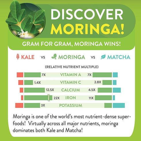 Moringa Ginger Lemon Tea 28 tea bags (Keto, Detox, Paleo, Vitamin & Minerals Booster, Vegan, Gluten-Free, Non-GMO, Caffeine-Free)...
