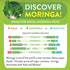 Moringa Ginger Lemon Tea 28 tea bags (Keto, Detox, Paleo, Vitamin & Minerals Booster, Vegan, Gluten-Free, Non-GMO, Caffeine-Free)...