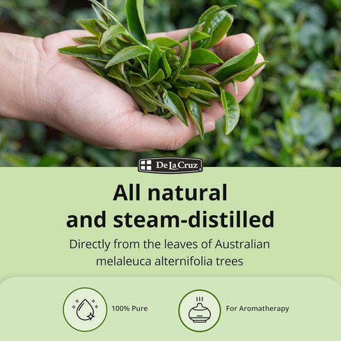 De La Cruz 100% Pure Tea Tree Essential Oil from Australia - Steam Distilled for Aromatherapy - 1 FL OZ (30 mL)...