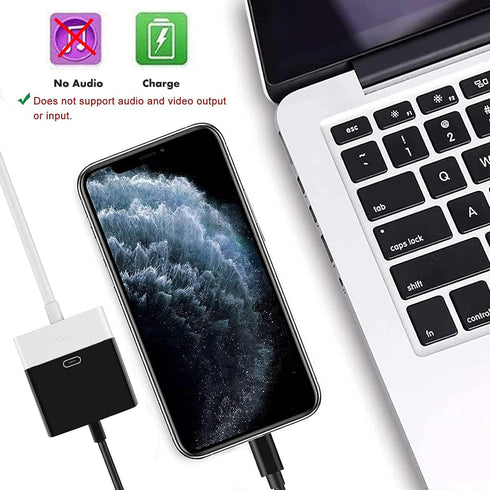 Apple MFi Certified Lightning Male 8Pin to Female 30Pin Adapter, 2 Pack, Speaker, Cellular Phones, MP3 Player...