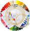 Caydo Embroidery Kit with Packing Bag Including Instructions, 5 Pcs Embroidery Hoops, 50 Color Threads, Aida Cloth, and Cross Stitch Tool Embroide...