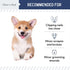Chew + Heal Labs Styptic Powder for Dogs, Cats, and Other Animals - .5 oz - Quick Stop Bleeding Powder for Clipping Nails, and Other Minor Cuts - ...