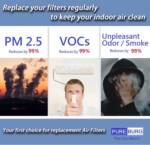 PUREBURG Replacement HEPA Filter Fits to Molekule Air Purifier, High-efficiency air clean Dust VOCs Pet-Hair Home Office, 1-Pack...