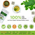 Organic Veda Moringa Tea Bags - 100% Pure Organically Grown Original Green Leaves Moringa Powder Rich in Vitamins, Amino Acids, Antioxidants - Veg...