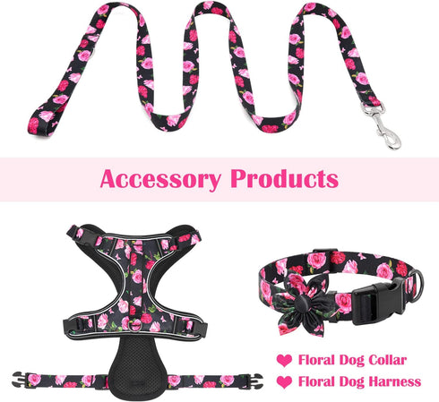 5 ft/Foot Black Dog Leash for Girl Medium Breed Dogs...