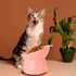 Pink Cat Food Bowl Elevated Tilted Raised Slanted Stand Dish for Neck Protection & Whisker Friendly Feeding-Christmas City Collection, Anti Vomiti...