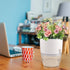 Plant and Flower Pot Set, 5 Pack 6/4.1/3.2 Inch Self Watering Pots for Indoor Plants Wicking Pots, Modern Decorative Planter Pot for House Plants,...