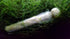 Planaria Trap Leech Trap Flatworm Trap 3 Holes Leeches Catcher Glass Tube for Aquarium Shrimp Tank 2 Pieces...
