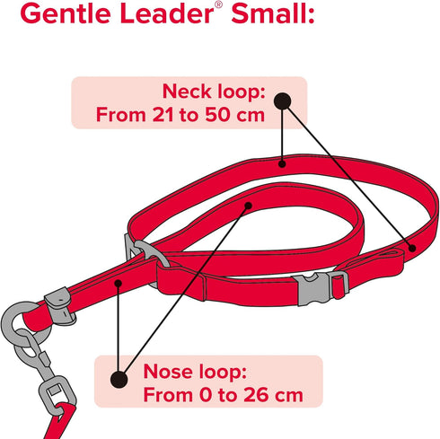 Beaphar | Gentle Leader | Head Collar for Small Dogs | Stops Pulling On The Lead | Training Aid with Immediate Effect | Endorsed by Behaviourists ...