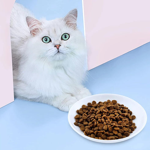 2 Pcs Cat Bowls, Wide & Shallow Cat Plates for Whiskey Fatigue Relief, 15cm/6’' Ceramic Cat Feeding Dishes Cute Fish Bone Design, Wet & Dry Food F...