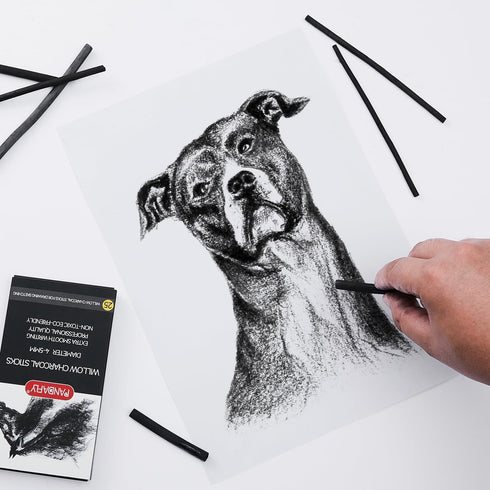 PANDAFLY Willow Charcoal Sticks, Soft, Black Artist Vine Charcoal for Artists, Beginners, Students, Great for Sketching, Drawing, Shading and Fine...