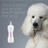 BioSilk for Dogs Silk Therapy Detangling Dog Shampoo | Sulfate Free and Paraben Free Shampoo for Dogs | Matted Hair Dog Detangler Shampoo for All ...