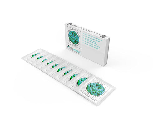 Yogurt Starter Cultures - Pack of 10 Freeze-dried Culture Sachets for Bifido Yogurt (10)...