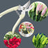 3CR13 Garden Shears farmer florist Pruner For garden picking fruit pruning regenerated branches, secateurs, white...