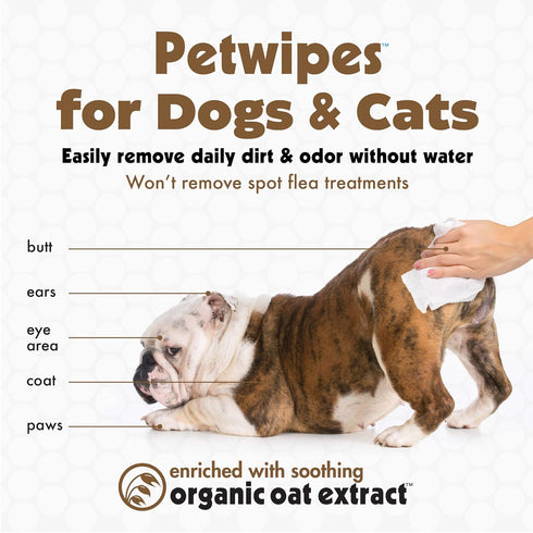 Petkin Pet Wipes for Dogs and Cats, Oatmeal, 100 Wipes (Large) for Dogs and Cats - Soothes Itchy Dry Skin and Cleans Ears, Face, Butt, Body and Ey...