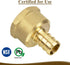 JUWO PEX Fitting, 1/2" Female NPT to 1/2" PEX Adapter for Plumbing Repairs or Remolding, Sturdy and Durable Brass Crimp Fitting (12 Pack)...