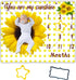 Baby Monthly Milestone Blanket for Baby,You are My Sunshine Sunflower Baby Monthly Milestone Blanket,Baby Month Blanket for Baby,Baby Growth Chart...
