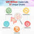 Bonawell Probiotics 120 Billion CFU 32 Strains with Prebiotics, Digestive Enzymes for Gut Health, 3-in-1 Daily Probiotic, Shelf-Stable, Delayed-Re...