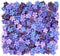 200 Pcs Handmade Mulberry Paper Stephania Venosa Flowers Petals 15x15 mm Scrapbooking Wedding DIY Craft Supplies Card (Purple Tone)...