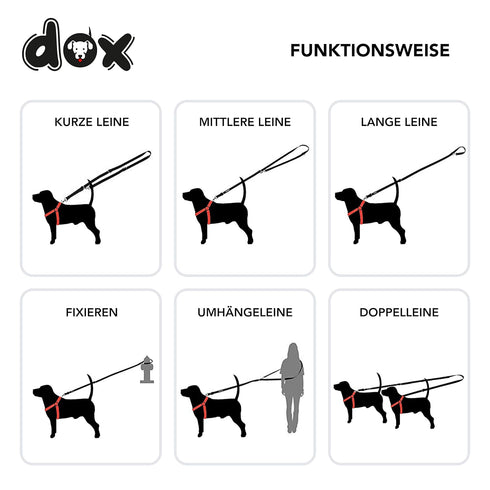 DDOXX Nylon Dog Leash, 3-Way Adjustable, 6.6 ft - for Dogs Large & Small - Double Dog Leash for Two Dogs/Cats/Puppies - Slip Leash/Training Leash ...