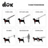 DDOXX Nylon Dog Leash, 3-Way Adjustable, 6.6 ft - for Dogs Large & Small - Double Dog Leash for Two Dogs/Cats/Puppies - Slip Leash/Training Leash ...