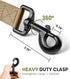OutdoorMaster Bungee Dog Leash, Heavy Duty Dog Leash with Shock Absorption, 2 Padded Handles Training Leash,1 Seat Belt Clip, Improved Dog Safety ...