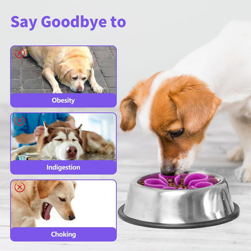 Slow Feeder Dog Bowls Insert, Bestalk Soft Silicone Slow Eating Dog Bowl Insert with Suction Cups for Small, Medium and Large Dogs(Purple S)...