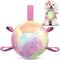Dog Toys Soccer Ball with Straps, Durable Dog Balls for Tug of War, Puppy Birthday Gifts, Dog Water Toy Small Dogs-Rainbow?5 Inch?...