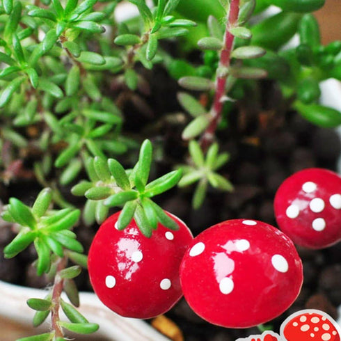 Cute Resin Craft Decoration Mushroom Fairy Garden Miniatures Accessories (pack of 50)...