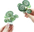 Aquarium Plants Fish Tank Decorations 6.6 inch Plastic Artificial Plant Goldfish Stone Cave Betta Fish Hides/Rest...