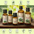 Fir Needle Essential Oil 3.4 Fl Oz (100ml) - 100% Pure & Natural - Freshen Rooms - Home Fragrances - Fresh Aroma - Fir Essential Oils...