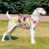 FEimaX Dog Harness No Pull Soft Padded Dog Vest with 3 Leash Clips and Easy Control Handle Reflective Adjustable No Choke Pet Harnesses for Medium...