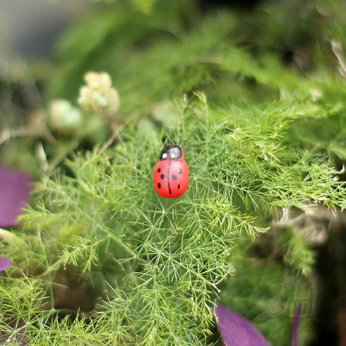 20-Piece Set: Seven-Spot Ladybug Décor - Wooden Handcrafted Simulation Beetle Garden with Realistic Ladybug Insect Miniature Sample Model - Yard, ...
