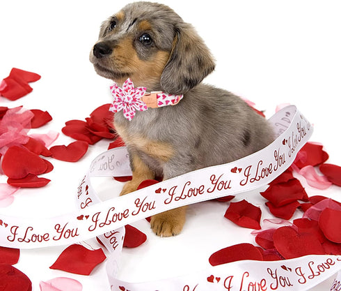 Valentine's Day Dog Collar with Flower Tie, White Red Love Male Dog Collar with Safety Metal Buckle Adjustable Puppy Collars for Small Medium Larg...