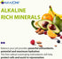 Alkazone Balance Your pH, Antioxidants Alkaline Mineral Drops, Single 1.25 Oz Pack, Portable, Yields 10 Gallons of alkaline, antioxidant Water, Un...