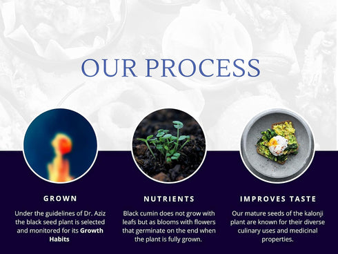 Sweet Sunnah Black Seed GROUND (Kalonji, Nigella Sativa, Black Cumin) 1lb pound All natural Raw Spice - Non GMO - Indian origin -Gluten Free Ingre...