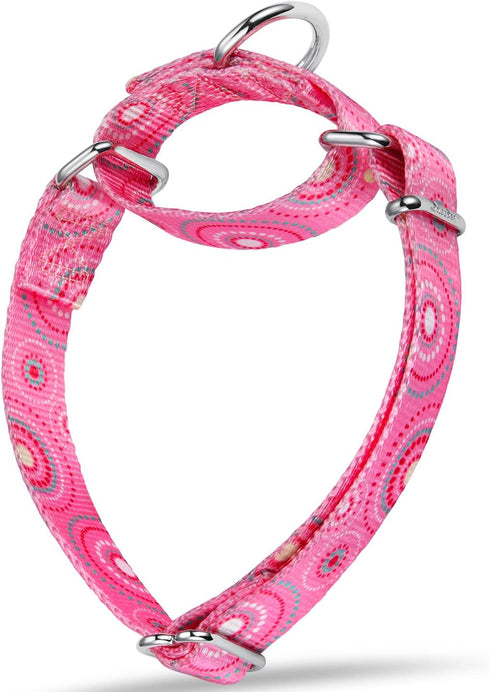 Martingale Collar Dog Collar No Pull Pet Collar Heavy Duty Dog Martingale Collars Silky Soft with Unique Pattern for Medium and Large Dogs (Small,...